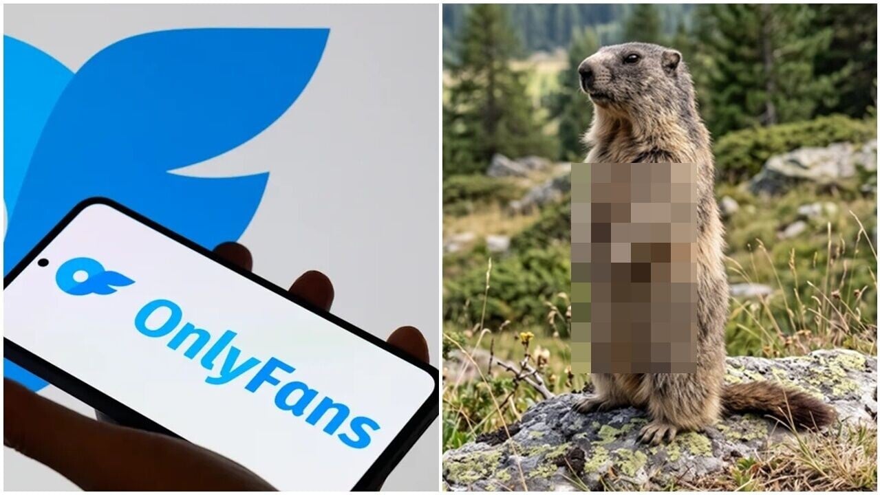 土撥鼠也登上OnlyFans　「出賣色相」賣萌湊經費。