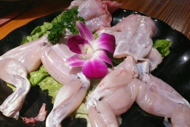醫生提醒食用牛蛙、黃鱔、淡水魚等食物,務必完全煮熟(網上圖片)