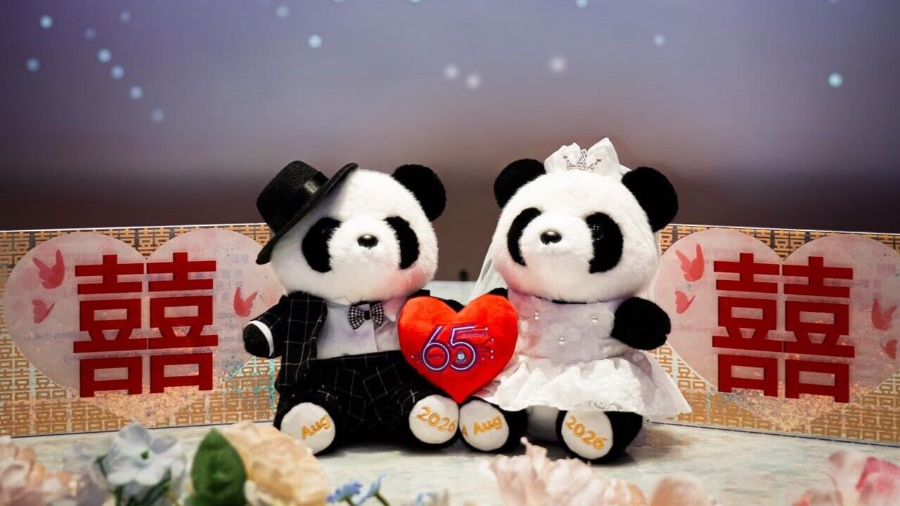 明日至8月10日期間，在入境處婚姻登記處舉行婚禮可獲贈結婚大熊貓公仔