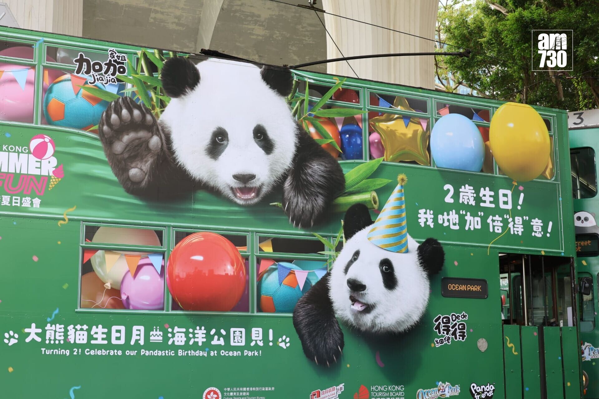 大熊貓主題電車在中環至銅鑼灣一帶行駛(羅錦鴻攝)