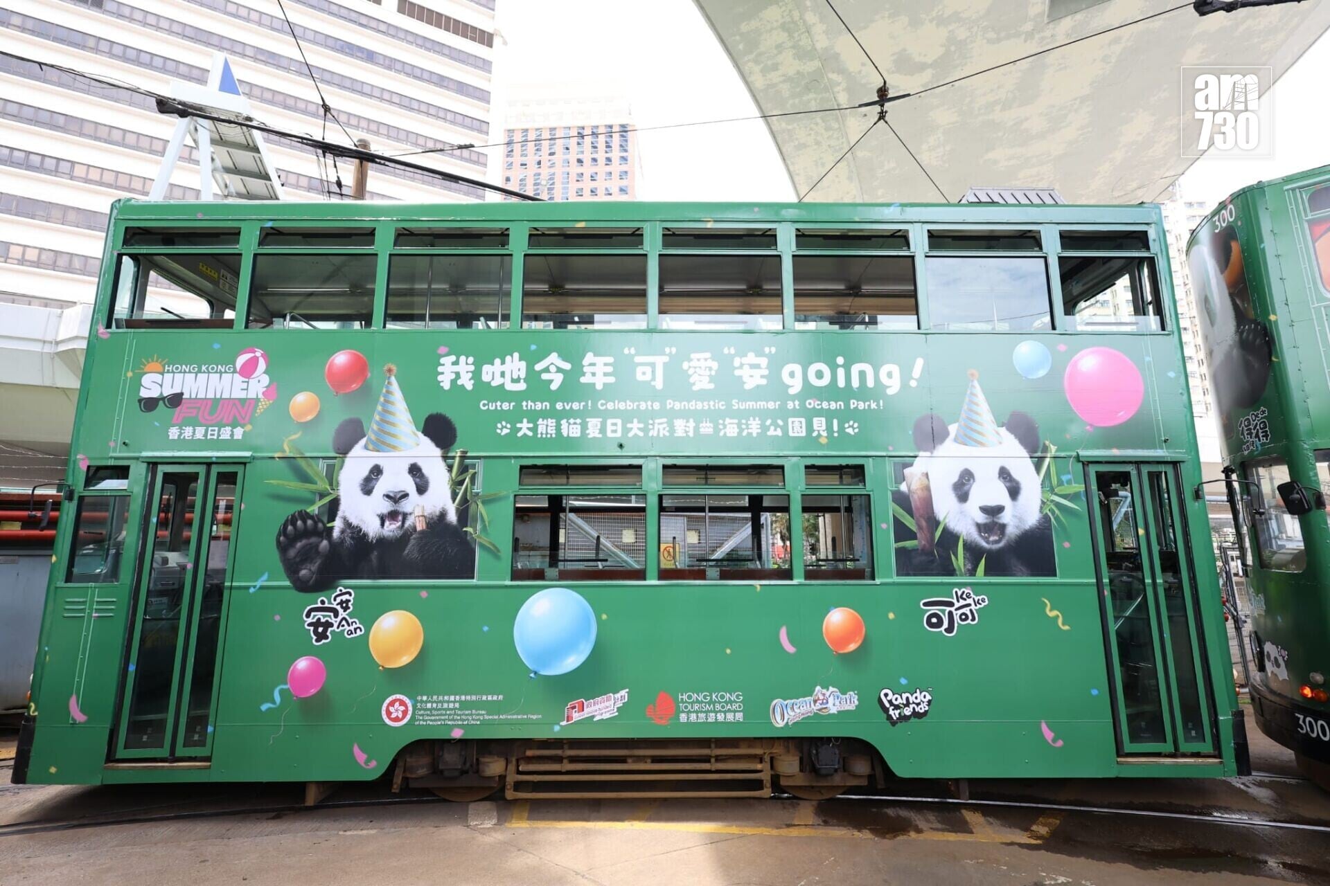 大熊貓主題電車在中環至銅鑼灣一帶行駛(羅錦鴻攝)
