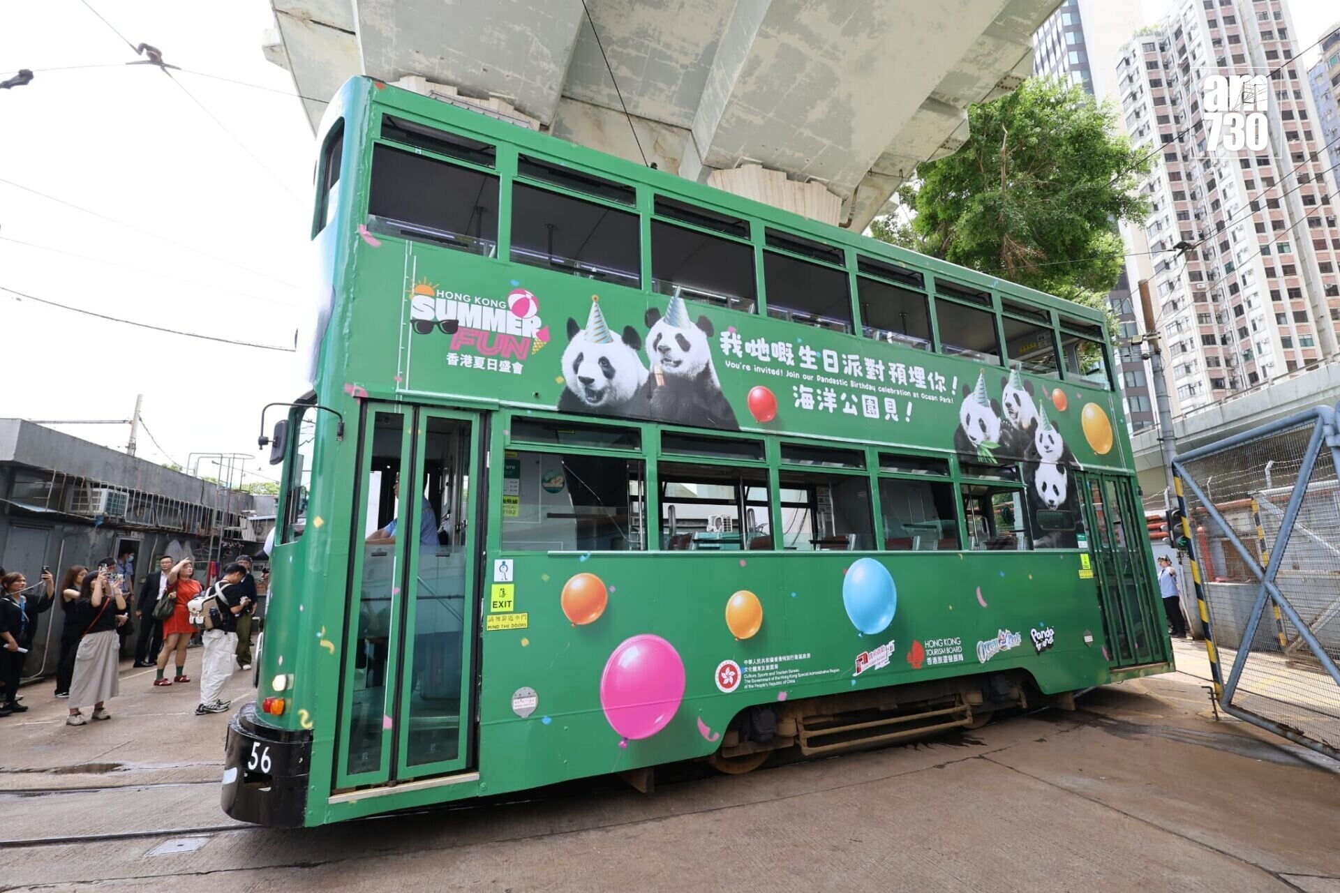 大熊貓主題電車在中環至銅鑼灣一帶行駛(羅錦鴻攝)