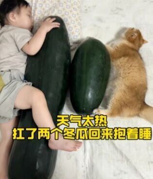 抱冬瓜睡覺消暑