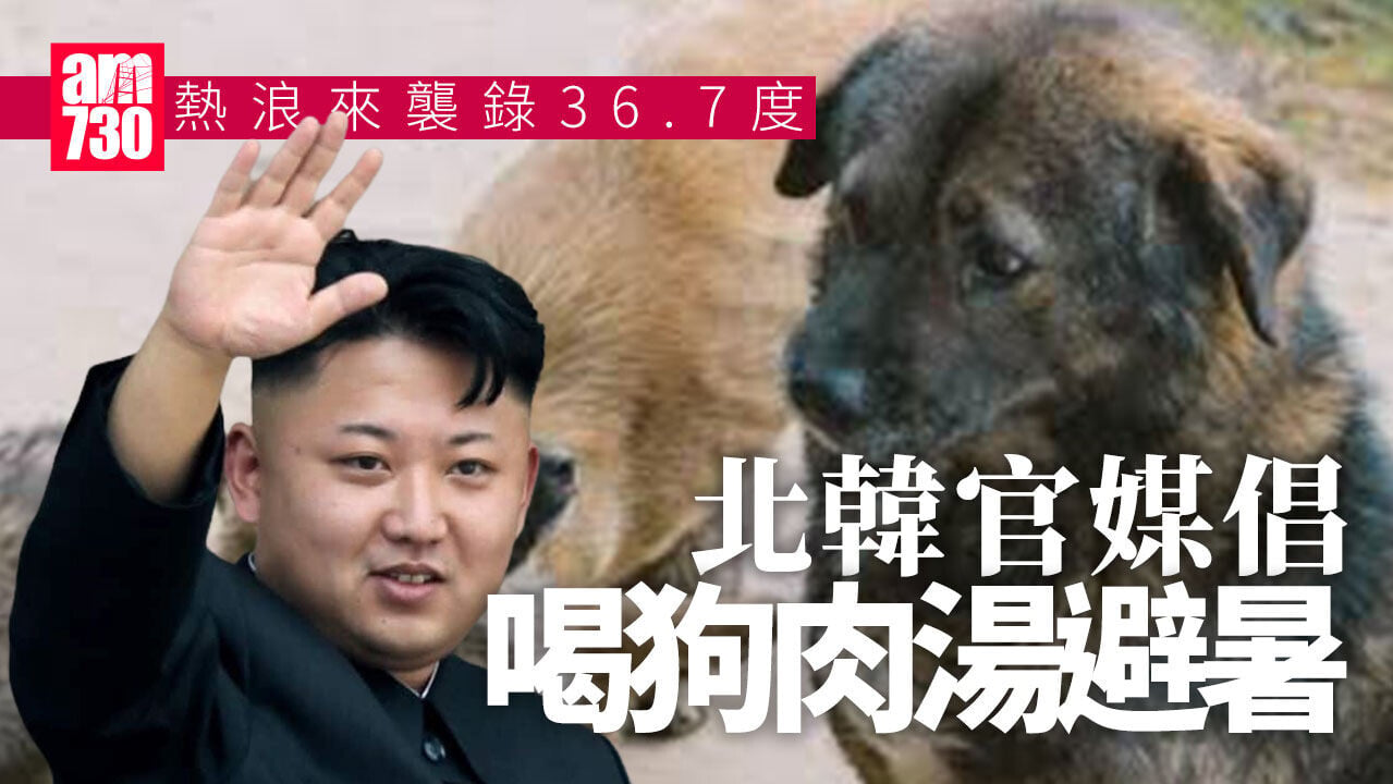 北韓錄36.7度創新高　官媒倡喝狗肉湯進補抗熱浪