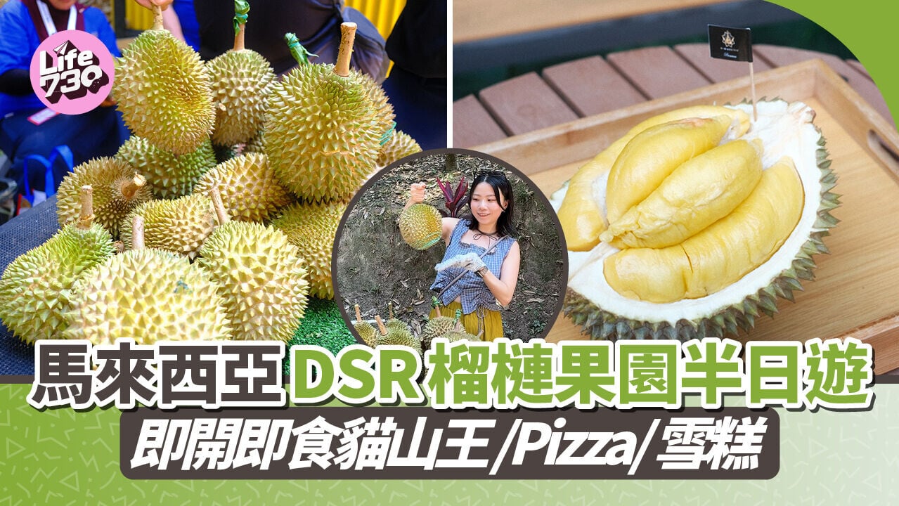 馬來西亞旅遊｜馬來西亞榴槤飄香 參觀「榴槤大哥」果園 即開即食貓山王/榴槤Pizza/榴槤雪糕