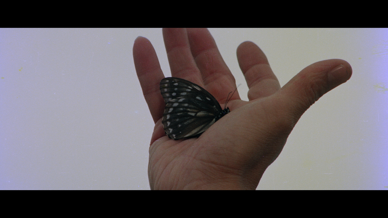 The Butterfly Murders 2