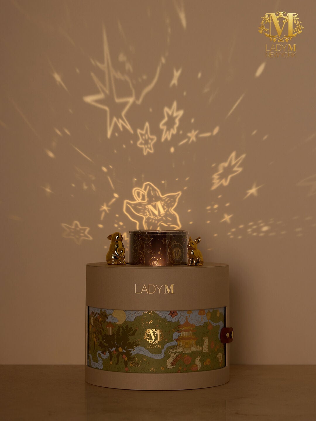 6pcs projection lamp