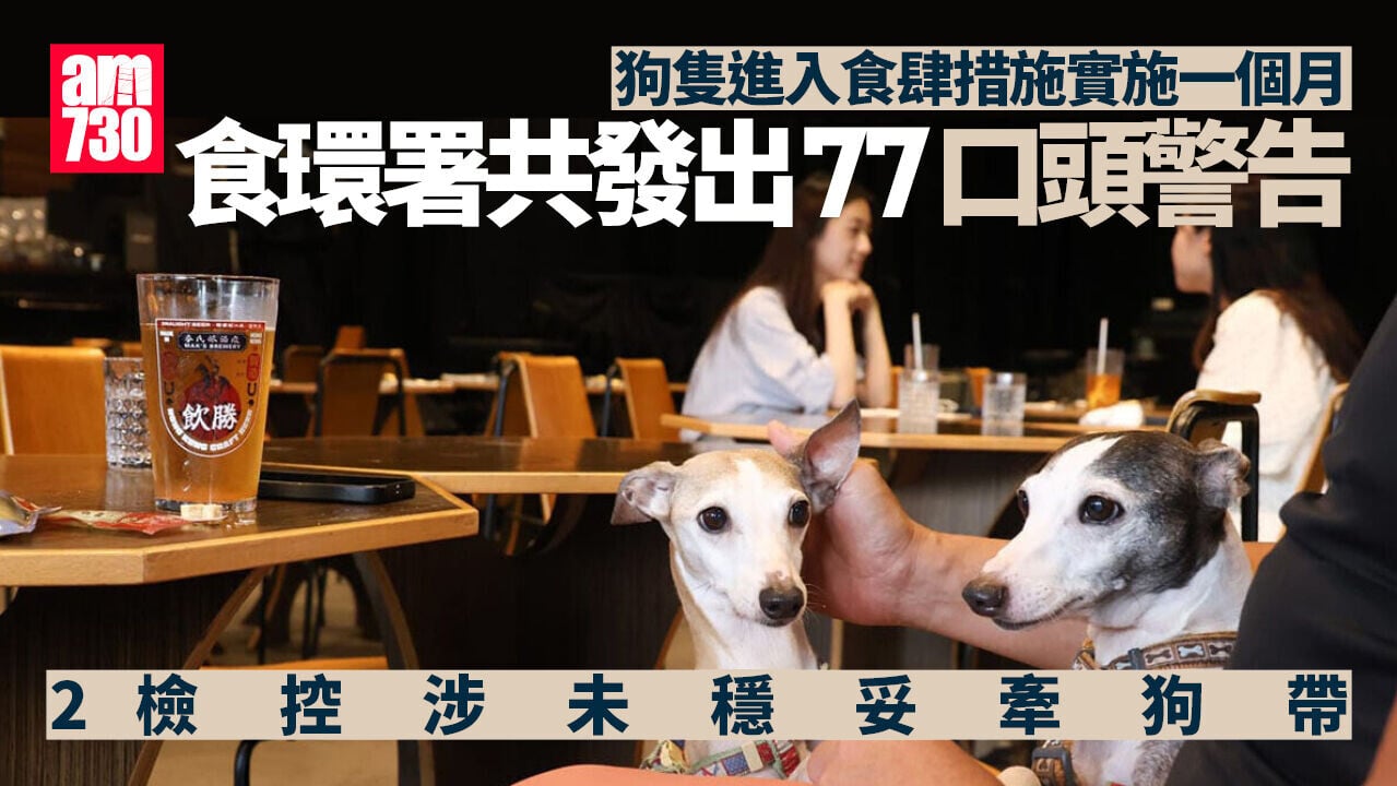 狗隻入食肆｜措施滿月 食環署：發77口頭警告 2檢控涉未穩妥牽狗帶