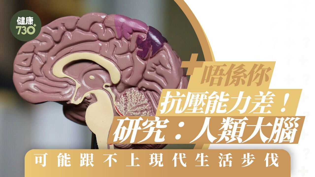 唔係你抗壓能力差！研究：人類大腦可能跟不上現代生活步伐
