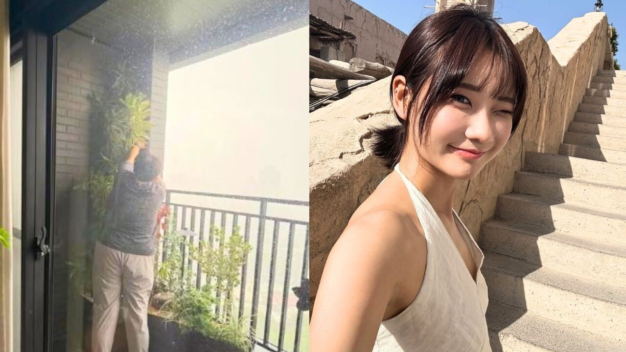 颱風白海豚｜愛莉莎莎派助理露台保護盆栽　澄清「他不會被吹走」