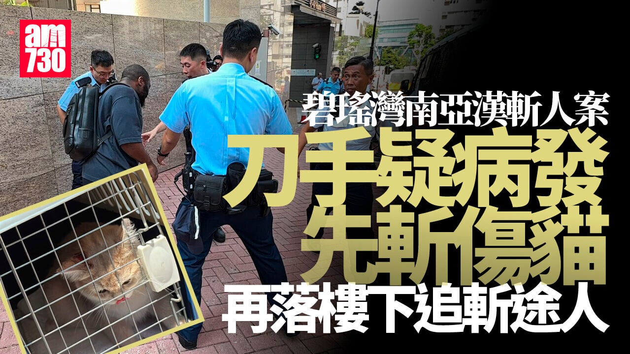 碧瑤灣斬人｜刀手疑病發先家中斬貓再斬人 貓咪頭部流血愛協帶走醫治