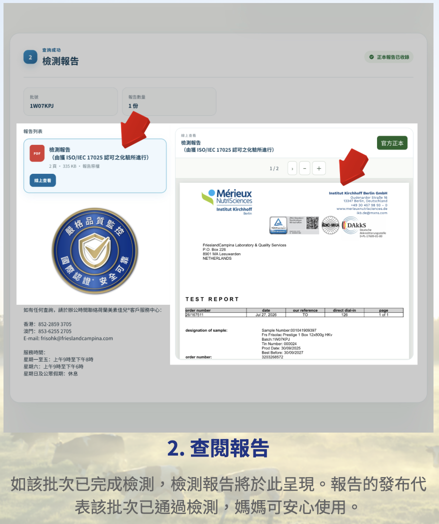 查閱報告