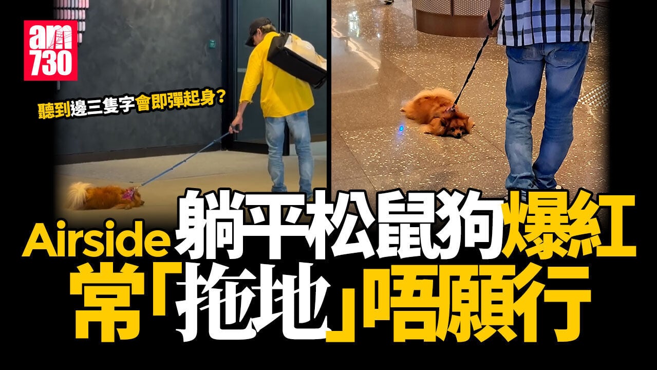 網上熱話｜啟德Airside「躺平松鼠狗」拖地唔行成名物 3字密碼即彈起
