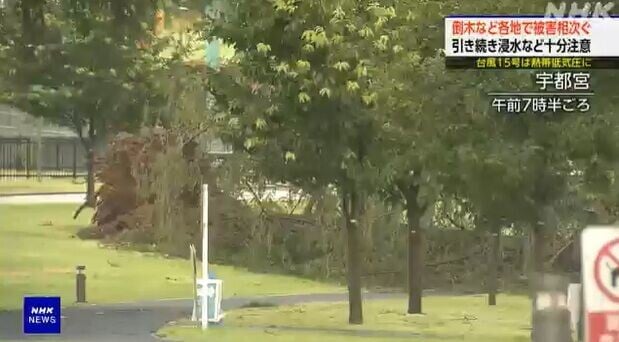 颱風燦鴻