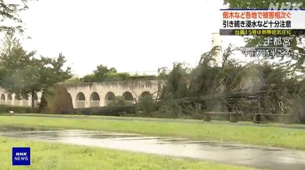 颱風燦鴻