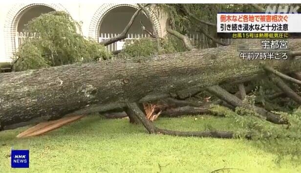 颱風燦鴻