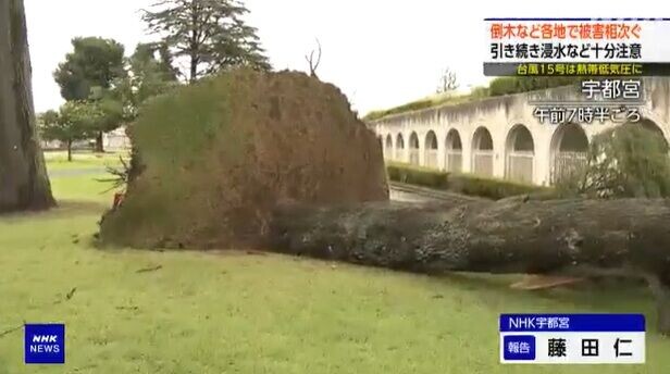 颱風燦鴻