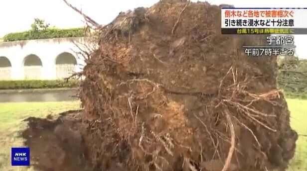 颱風燦鴻
