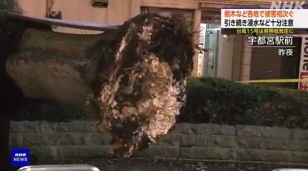 颱風燦鴻