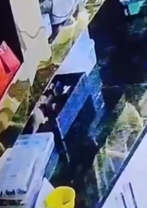老鼠複地將飾櫃裡的戒指和金頸鏈拖進店內牆角底走去。(X)