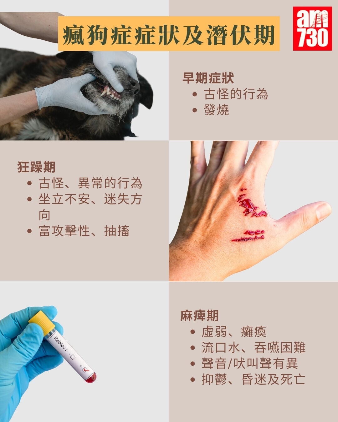 被狗隻咬傷處理方法+瘋狗症症狀及潛伏期(am730製圖)