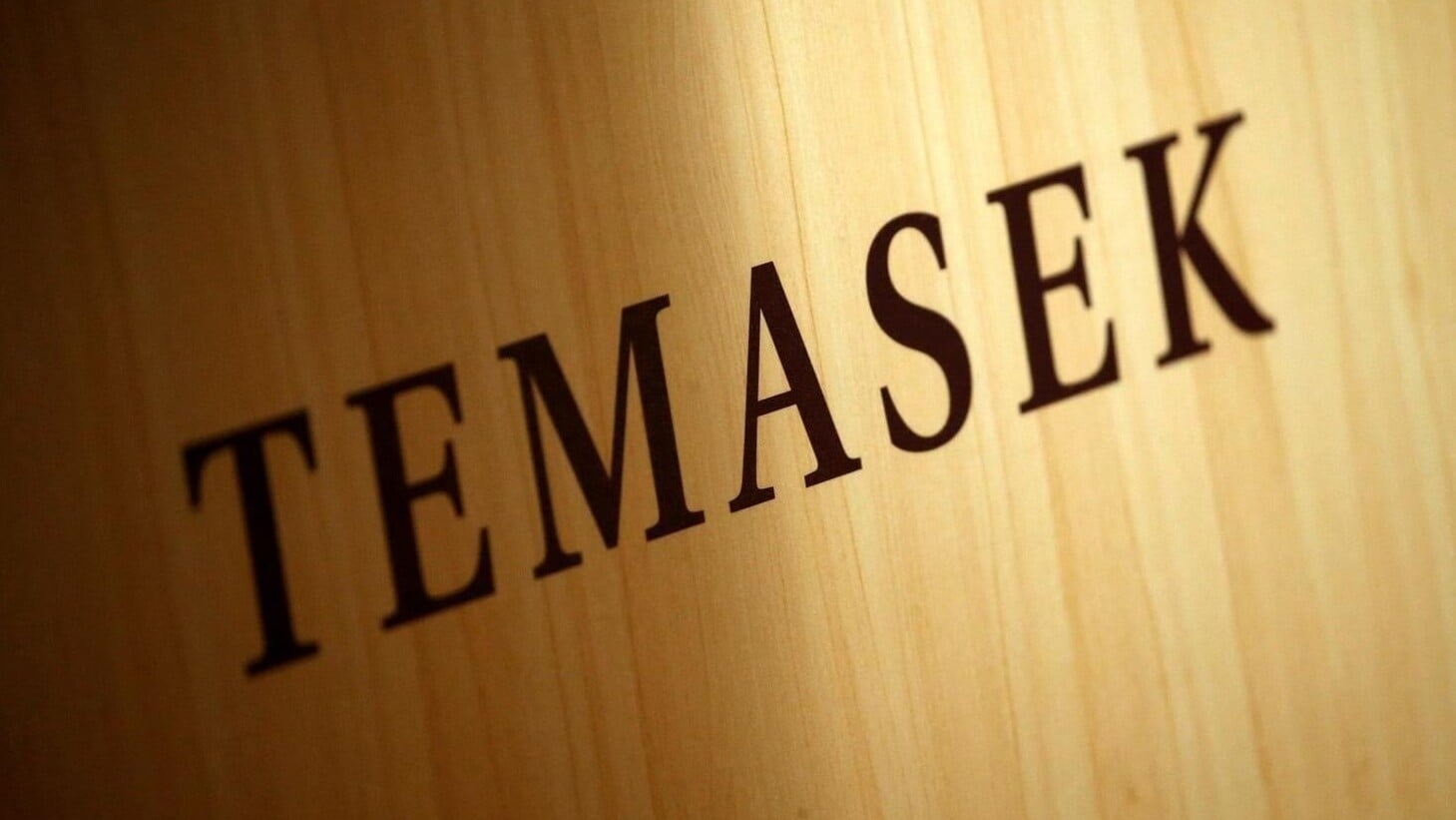 TEMASEK Logo S