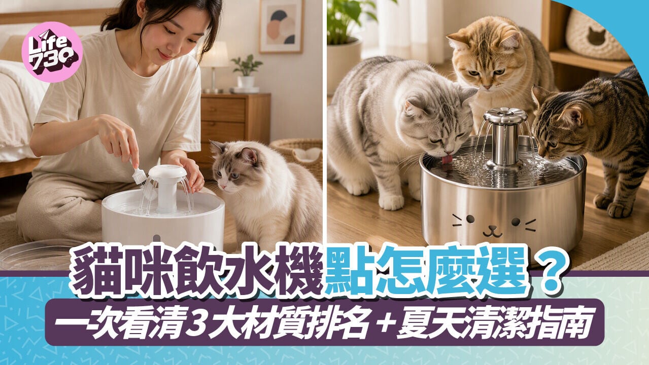 貓咪飲水機點怎麼選？一次看清3大材質排名+夏天清潔指南