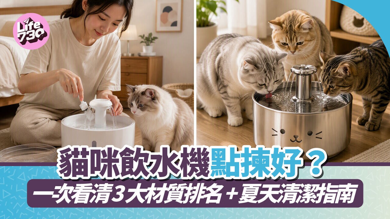 貓咪飲水機點揀好？一次看清3大材質排名+夏天清潔指南