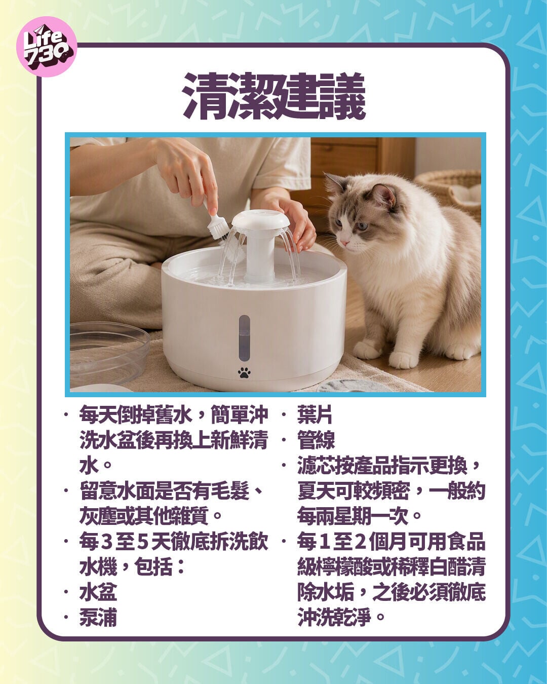 清潔建議