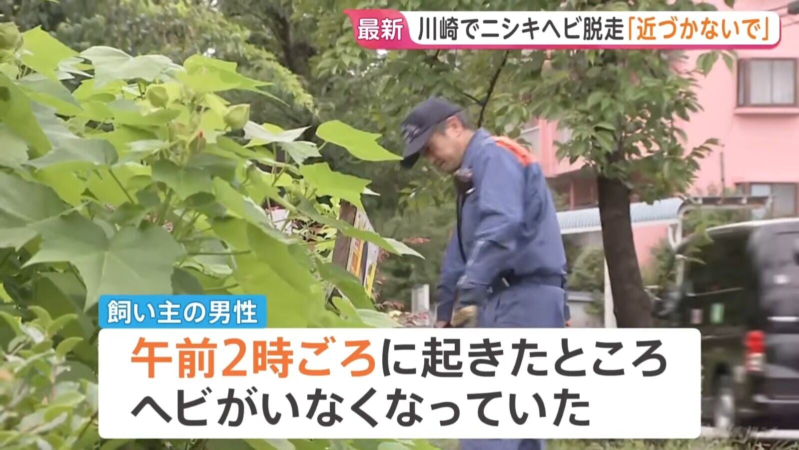日本川崎市目前動員了約30人力在該地區巡邏搜尋