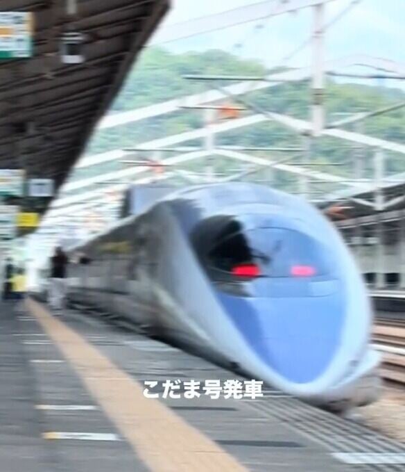 一對母子疑似因為拍照打卡趕不及上車,在月台上狂奔追車並拍打車輛