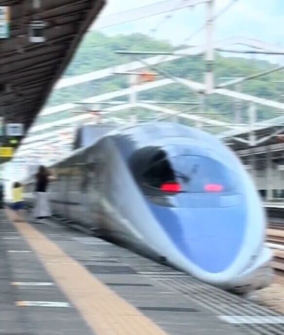 母子月台上狂追並拍打列車,導致列車暫停行駛