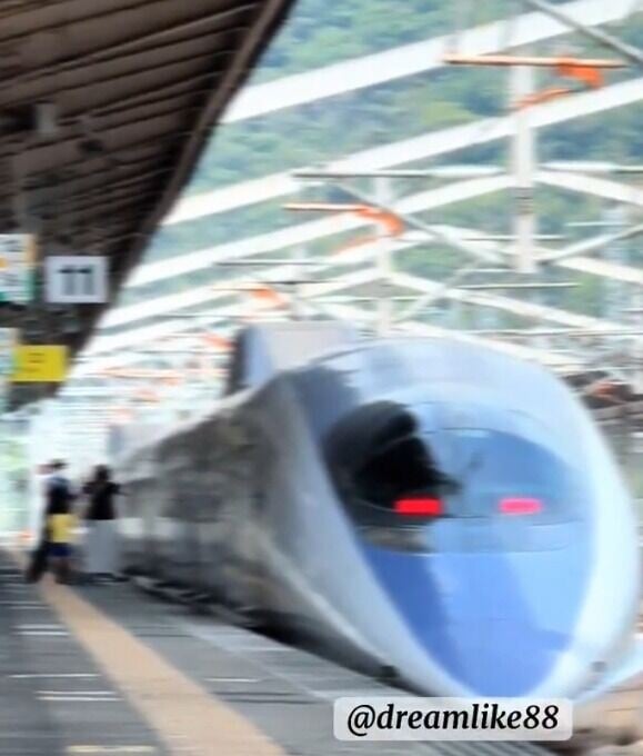 新幹線職員出手,阻止母子靠近列車