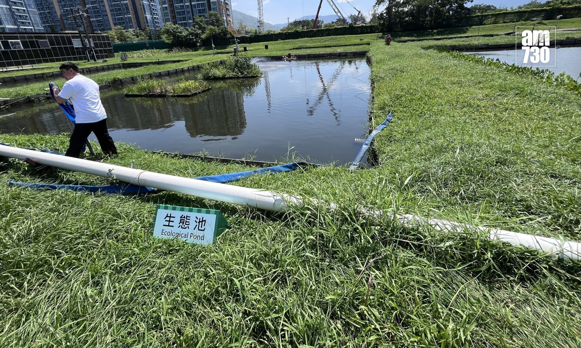 漁護署於元朗凹頭漁業辦事處設立示範場。(顏光輝攝)