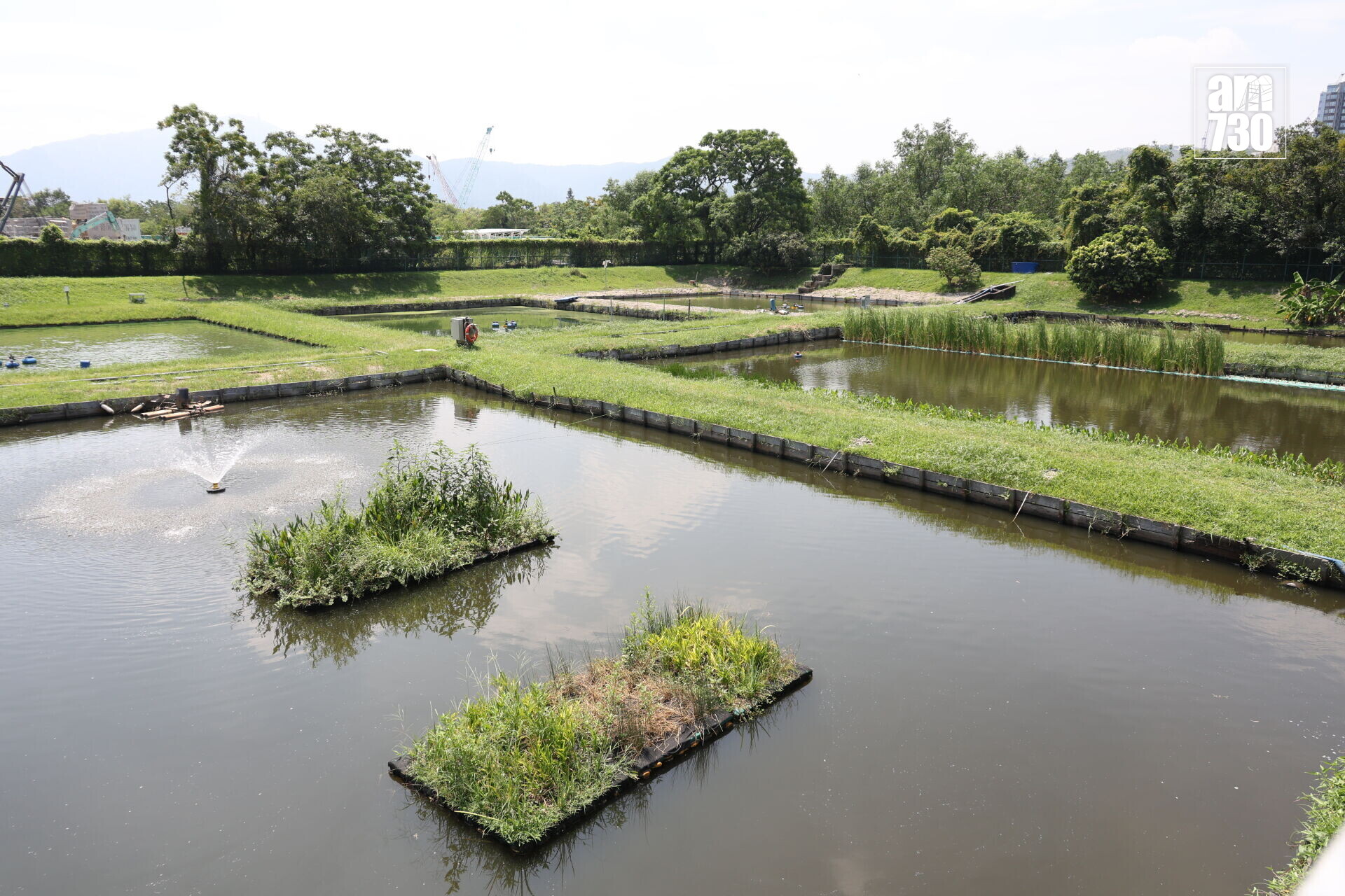 4個生態池塘沉澱淨化 環境