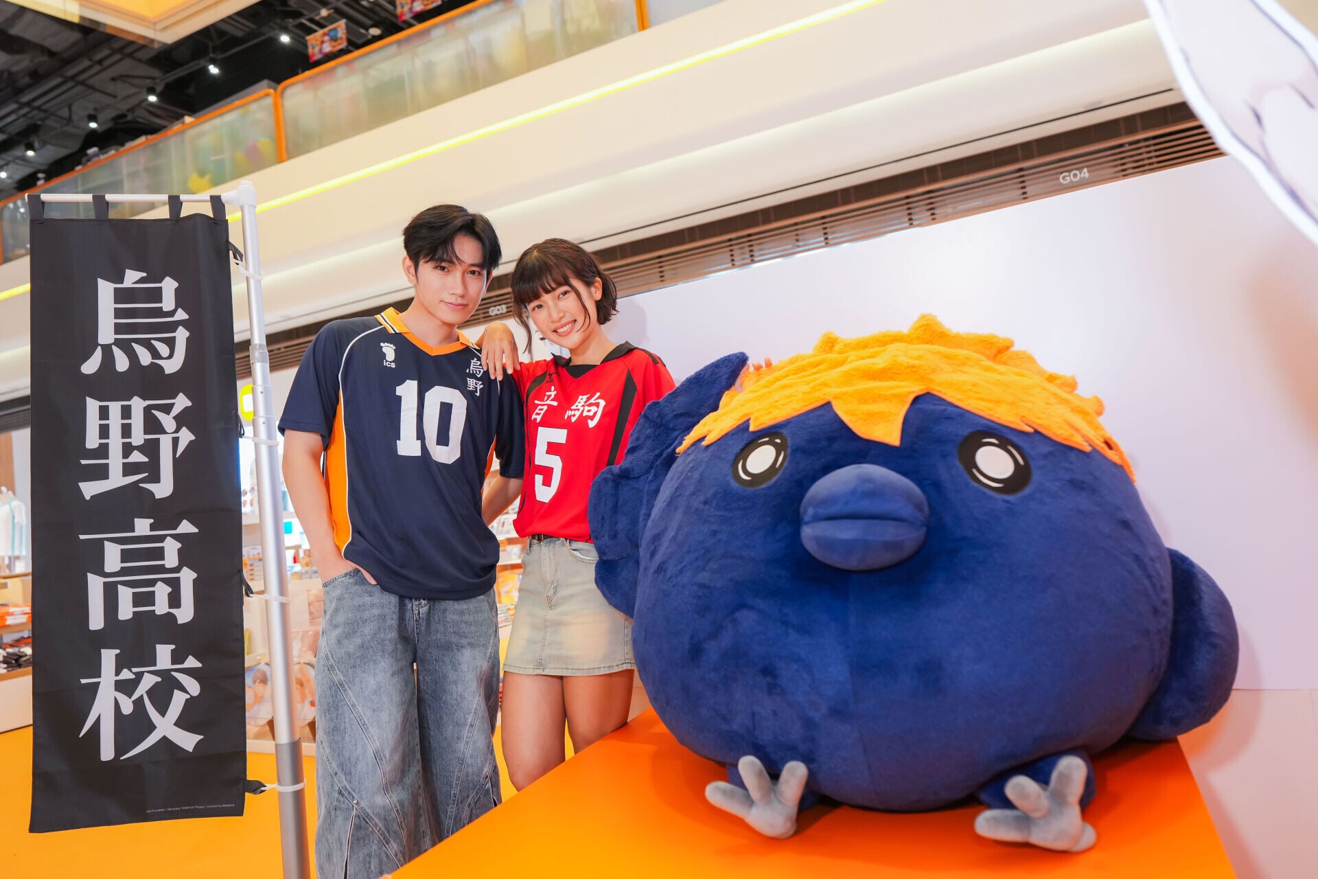 「毛耷耷日向烏鴉」