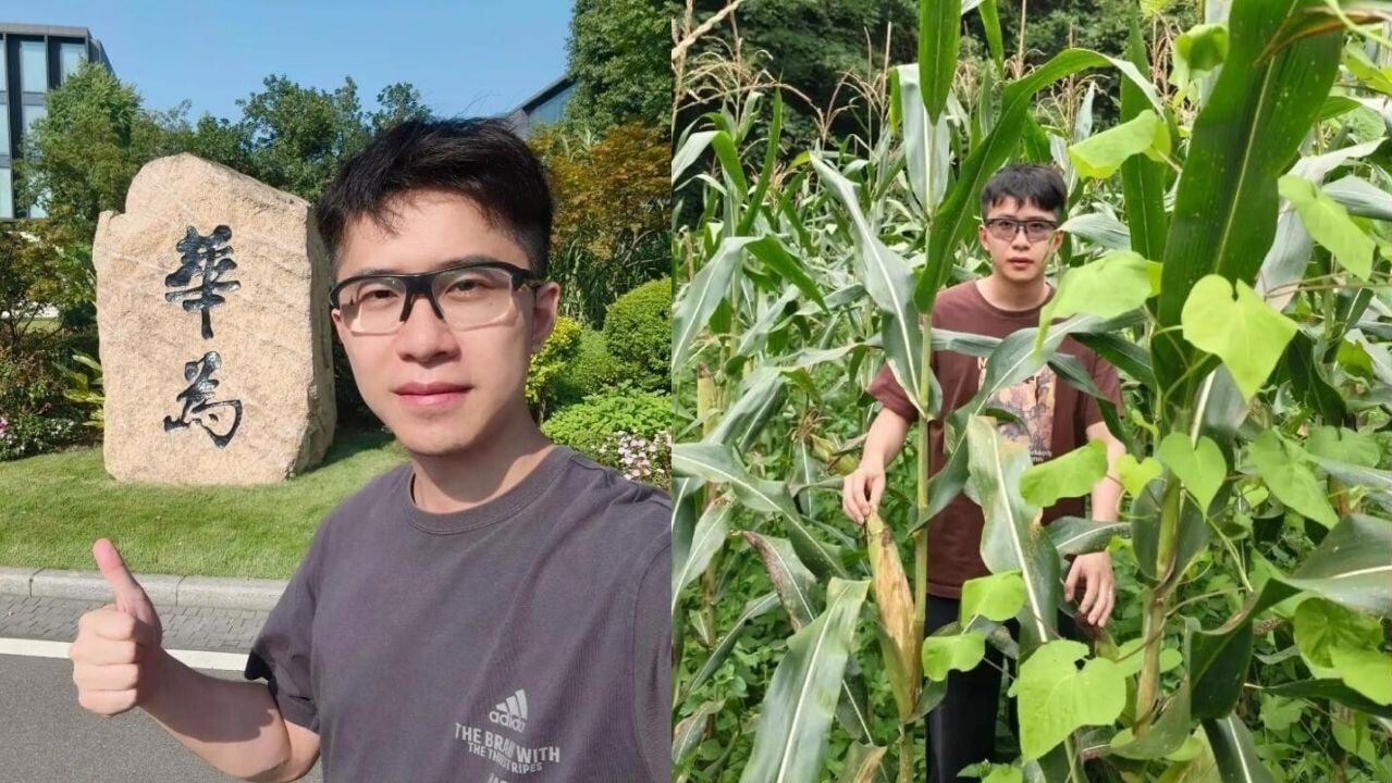 華為「天才少年」棄高薪轉行賣粟米？ 憂被AI取代赴瑞典深造