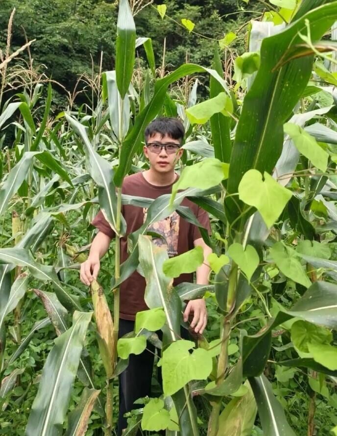 寧博宇離開華為後賣粟米,是全新的生活體驗