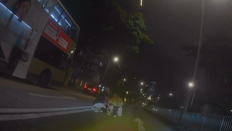 女狗主一隻抱起啡色狗狗,並一手執住黑色狗狗一雙前手,令牠以雙腿步行,拉回行人路。(FB/車cam L(香港群組))