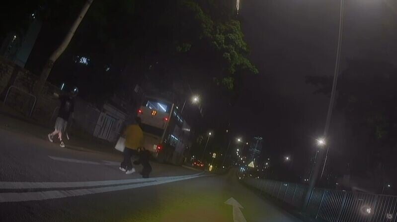 女狗主一隻抱起啡色狗狗,並一手執住黑色狗狗一雙前手,令牠以雙腿步行,拉回行人路。(FB/車cam L(香港群組))