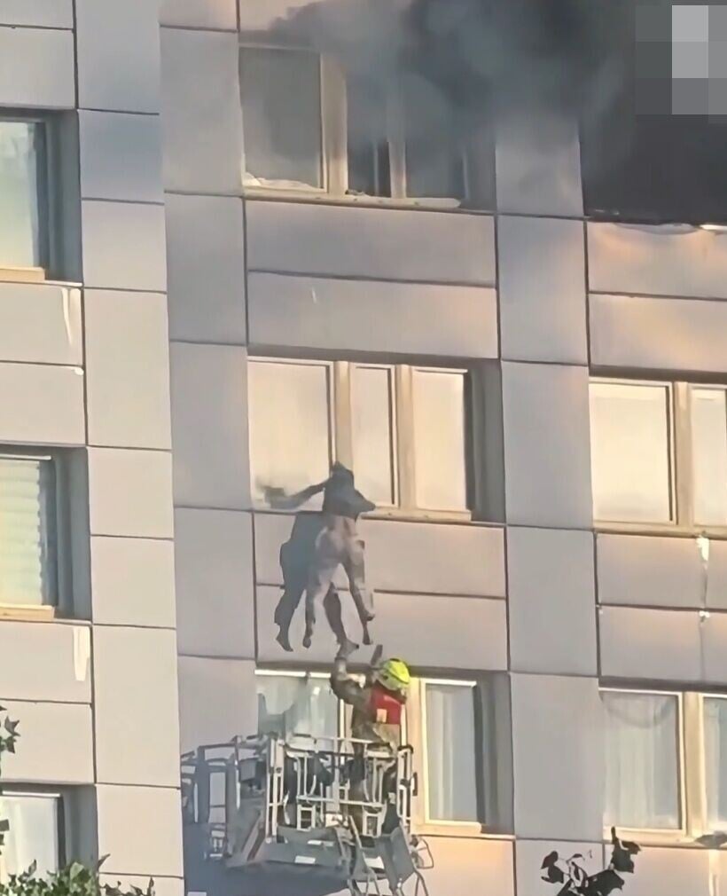 報道指,女子與下方接應消防員相距高度差約一層樓高,救援籃空間僅約1米乘2米。(X)