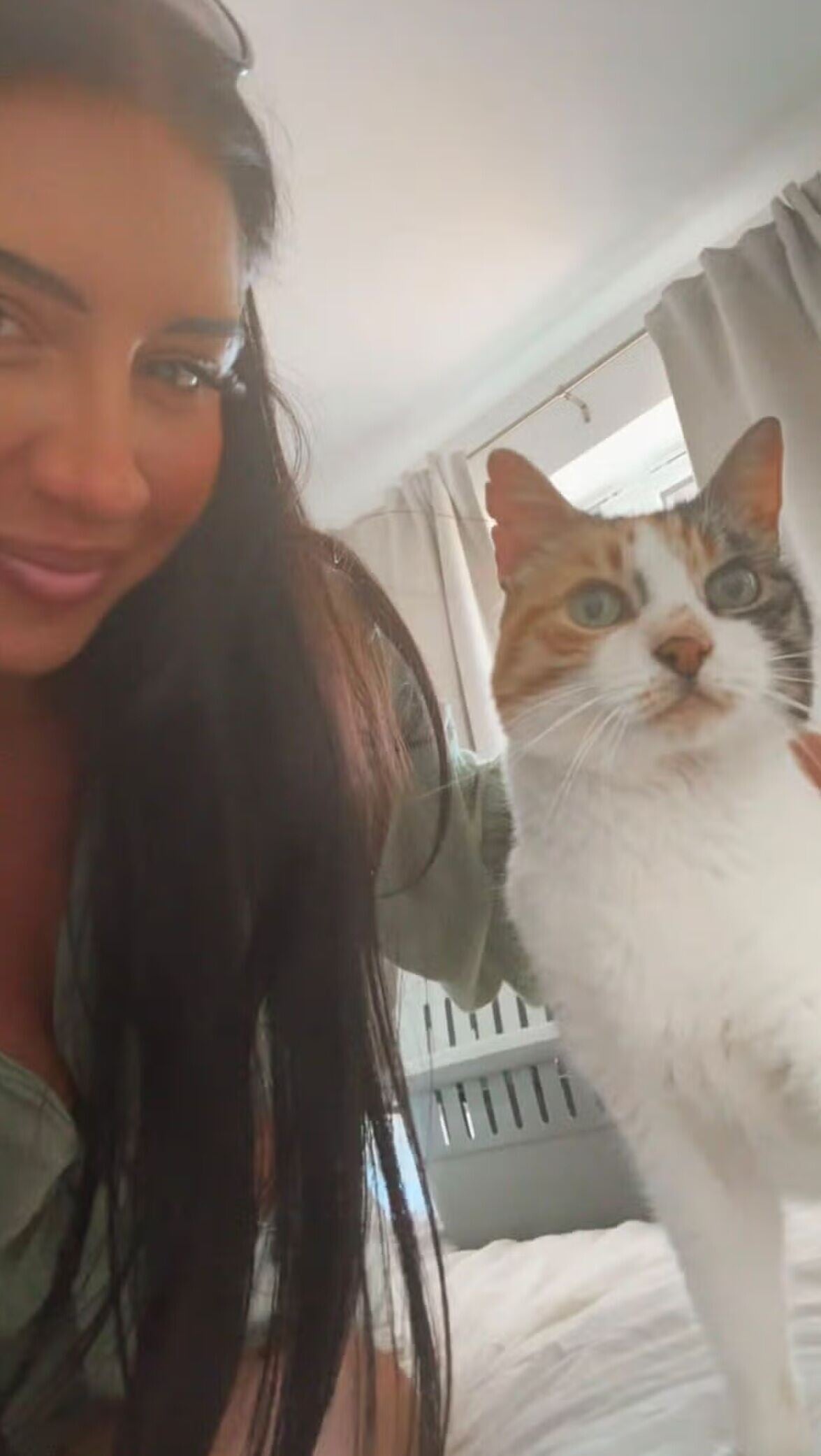 英國貓咪失蹤