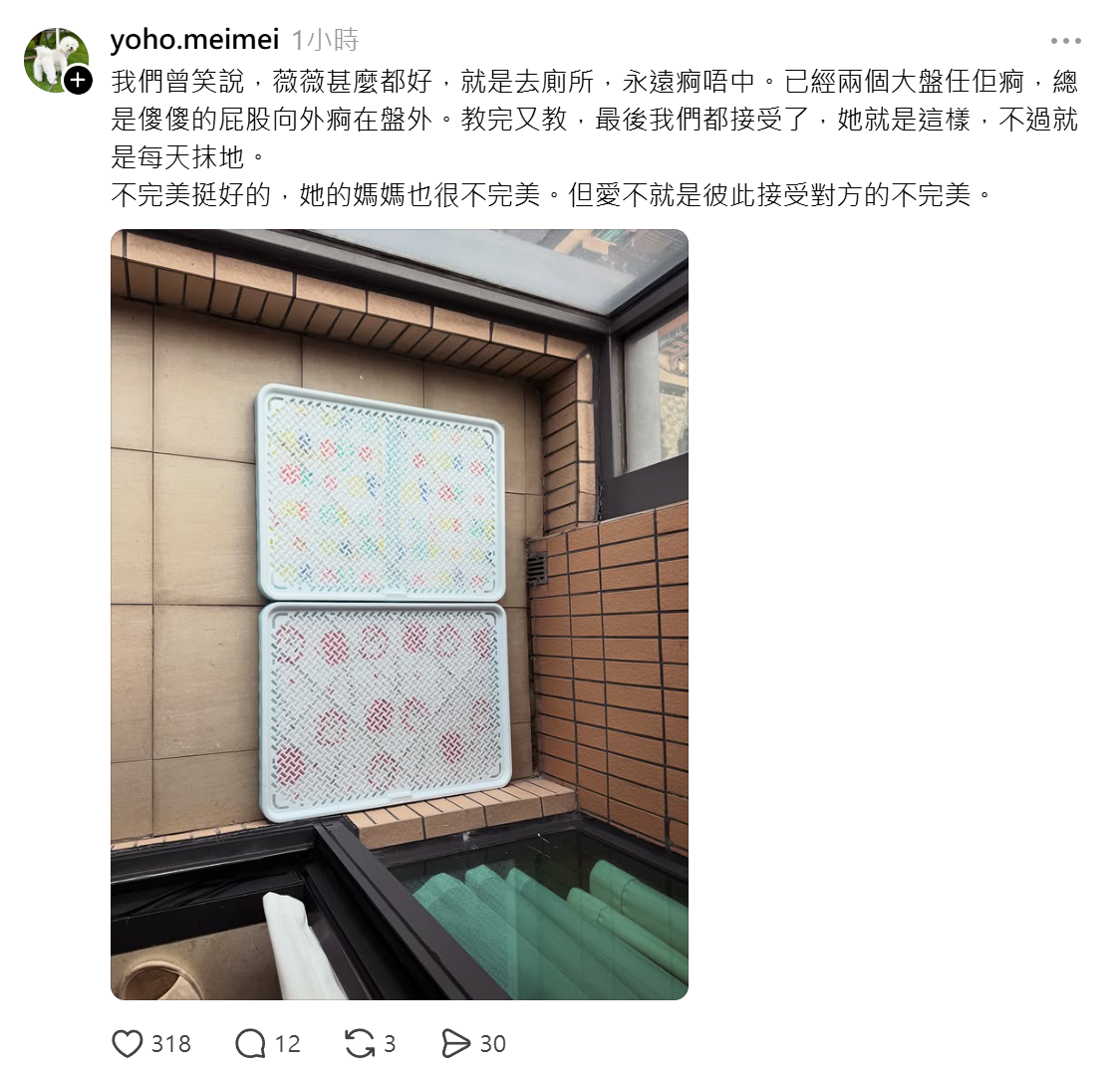 比熊犬「薇薇」的狗主發文悼念(Threads)