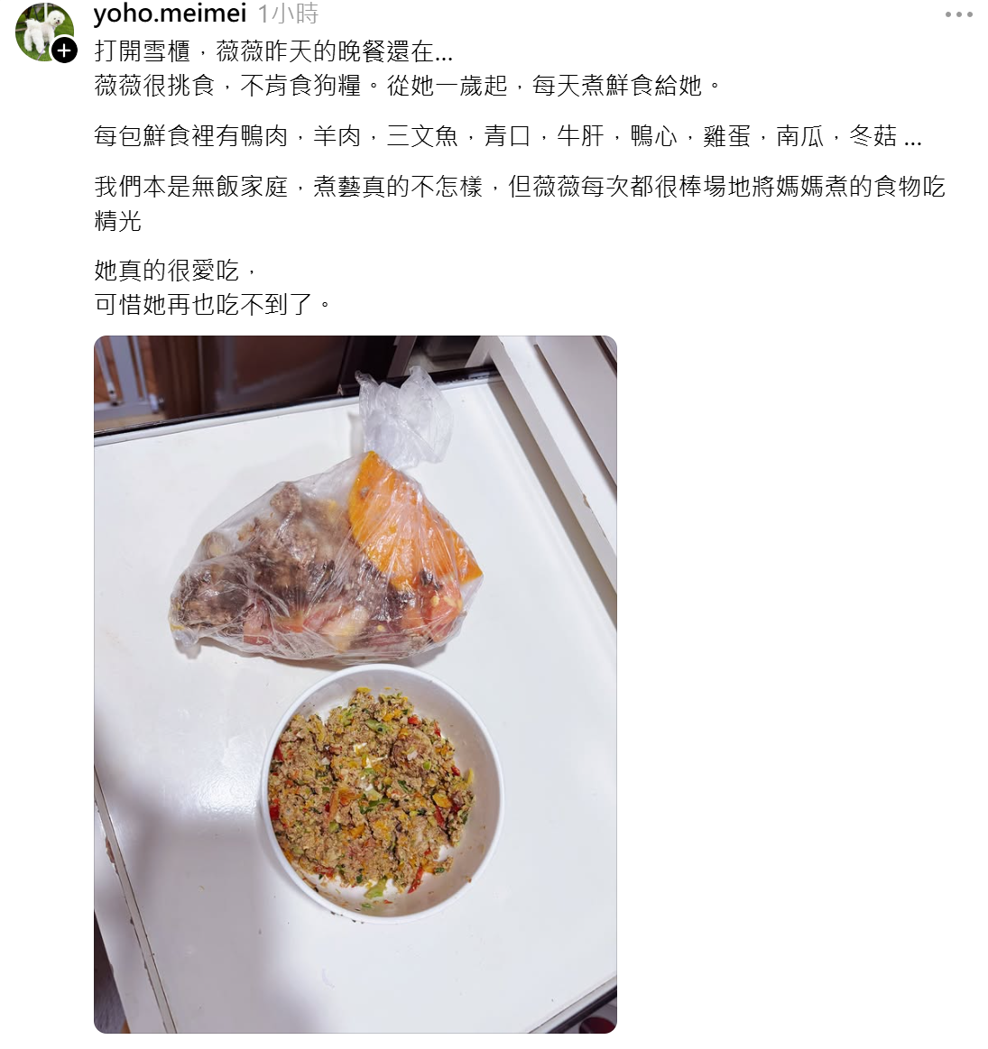 比熊犬「薇薇」的狗主發文悼念(Threads)