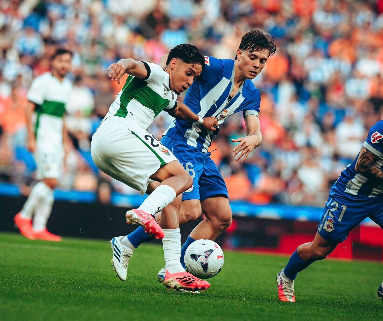 HP8sARCWcAE797n