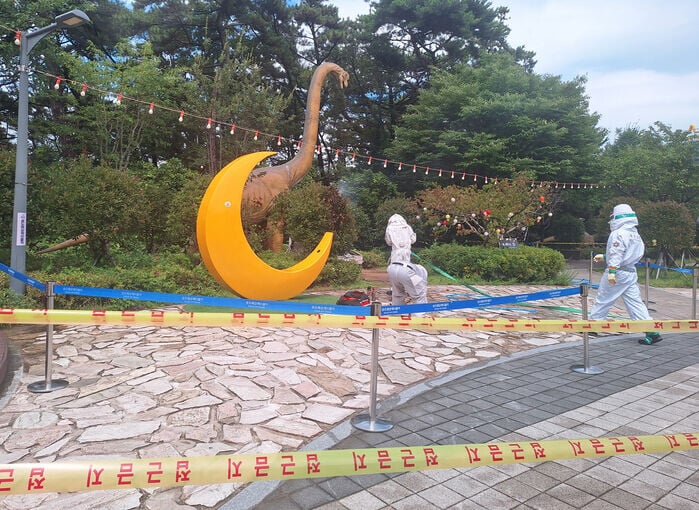 消防人員在岩南公園內一棵樹上發現蜂巢,直徑約40厘米
