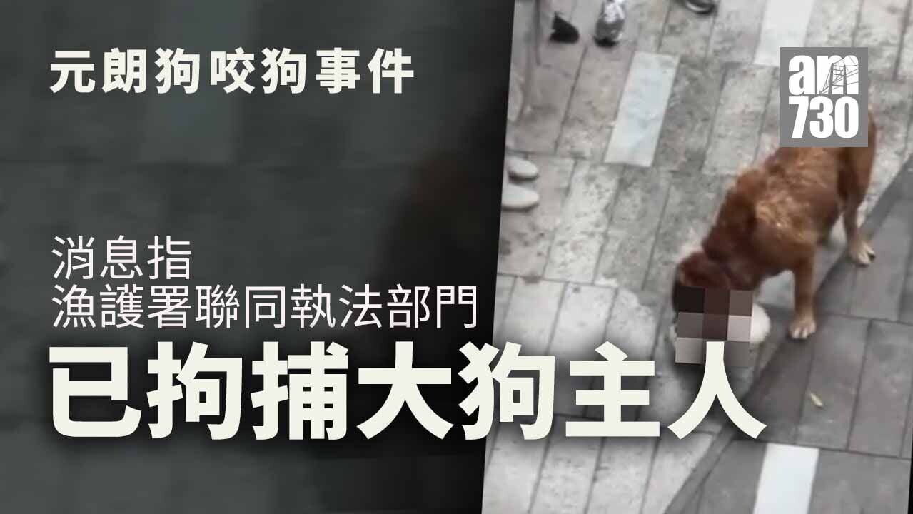 元朗YOHO大狗咬死兩犬　消息：漁護署聯同執法部門拘捕大狗狗主