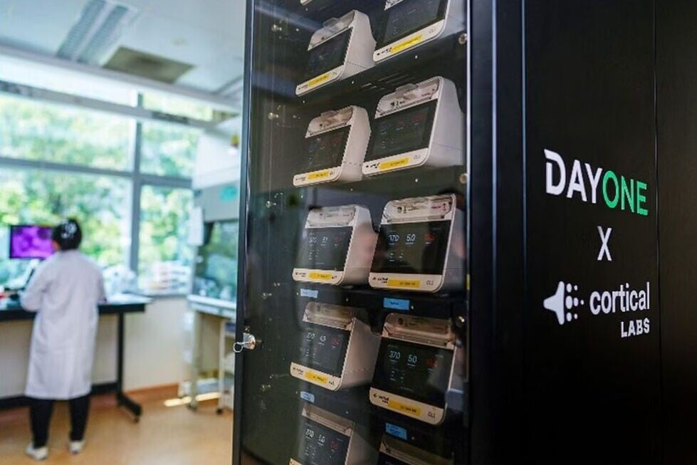 新加坡國立大學與Cortical Labs,以及DayOne,推出首個利用人腦細胞而非電腦芯片來運轉的生物數據中心原型。(X)