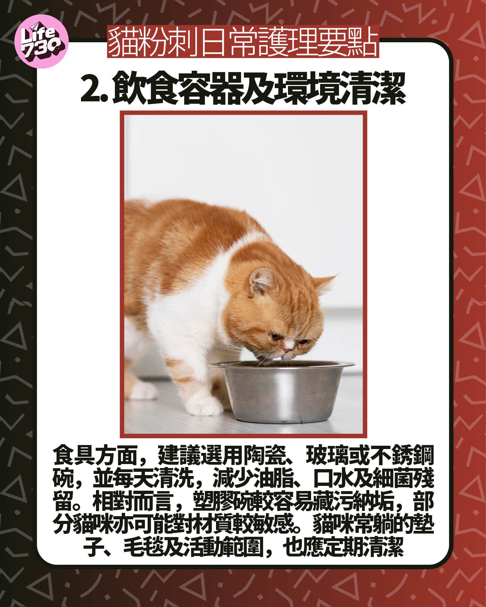 貓粉刺日常護理要點2. 飲食容器及環境清潔
