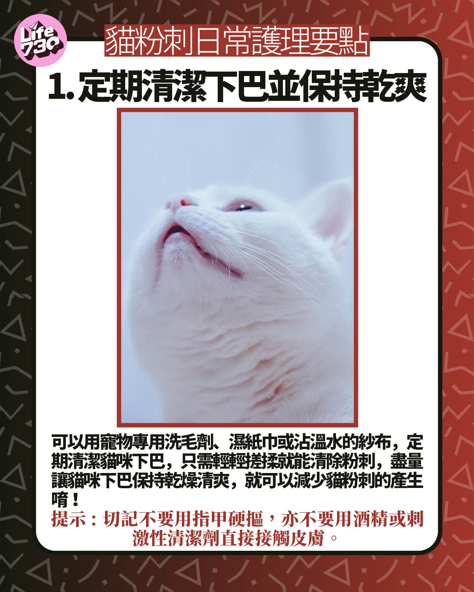 貓粉刺日常護理要點1. 定期清潔下巴並保持乾爽